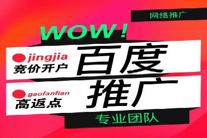 百度广告推广案例：提升品牌知名度